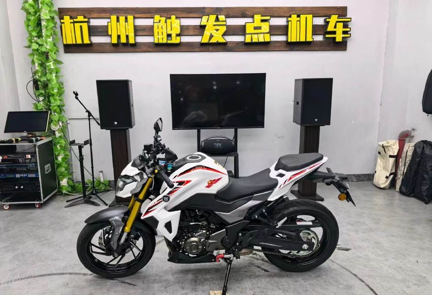 豪爵 DR300