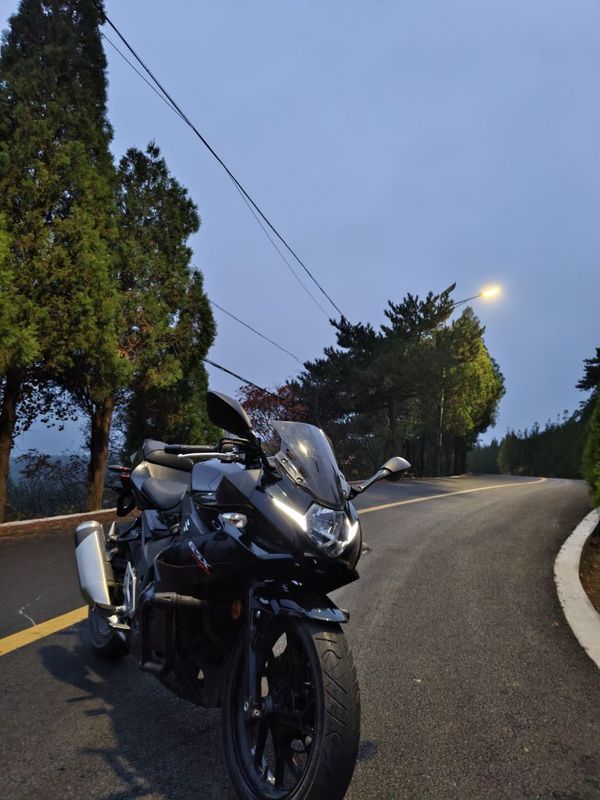 豪爵铃木 GSX250R