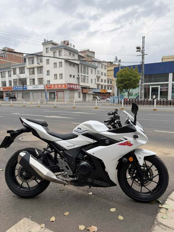 豪爵铃木 GSX250R