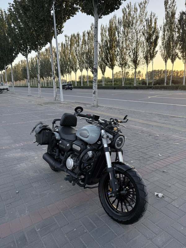 奔达 金吉拉300