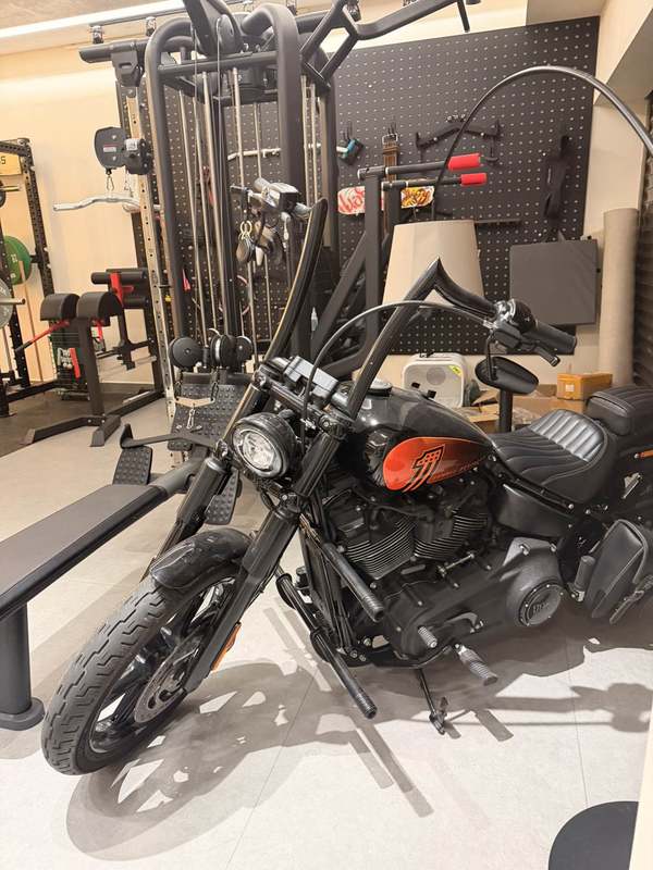 哈雷戴维森 街霸 Street Bob