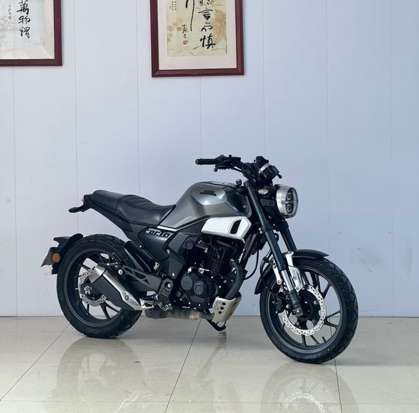 新大洲本田 CBF190TR