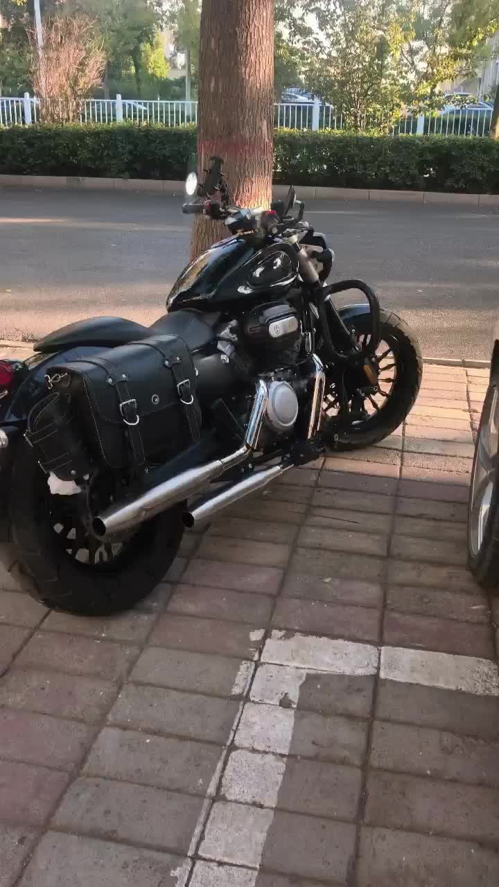 奔达 金吉拉300