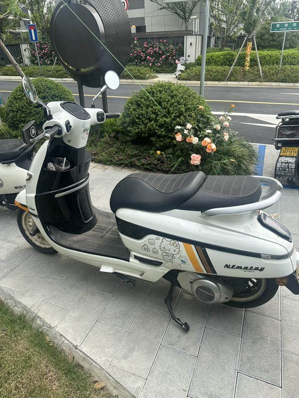 南方 梦拉丽莎 飞戈150