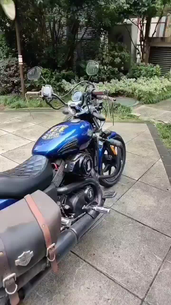 哈雷戴维森 Street 750