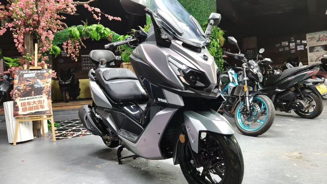 三阳 巡弋 Cruisym250