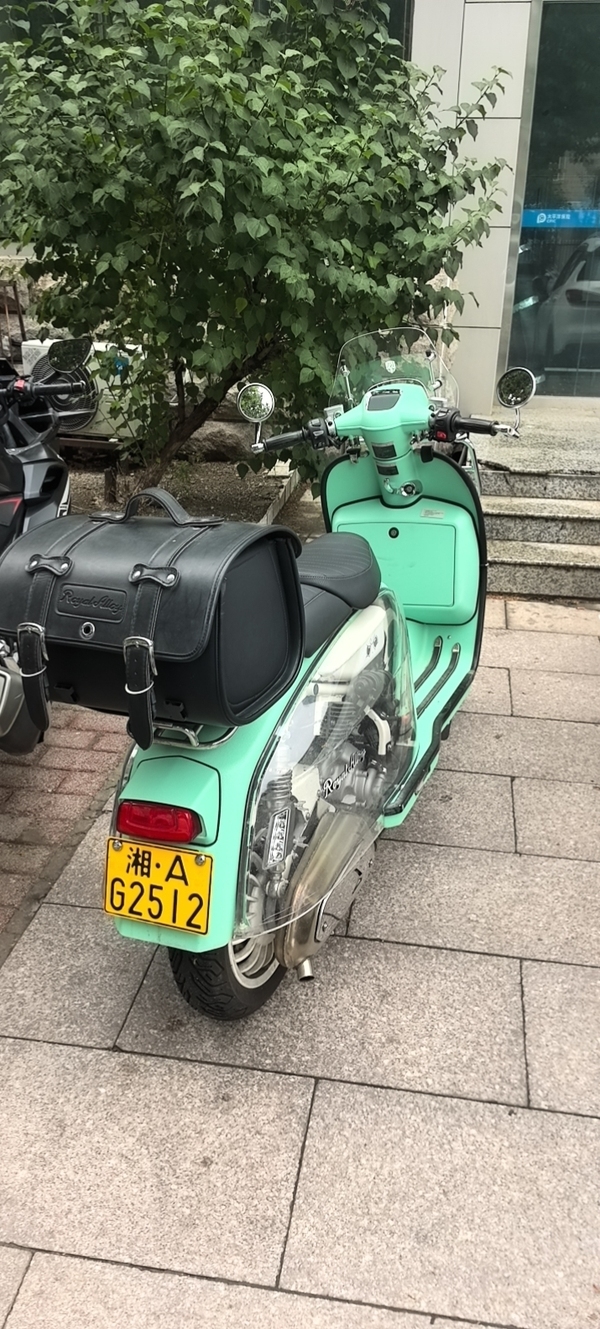 ROYAL ALLOY GP250