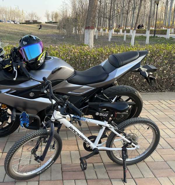 豪爵铃木 GSX250R