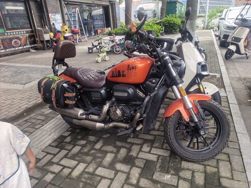 QJMOTOR 闪300S