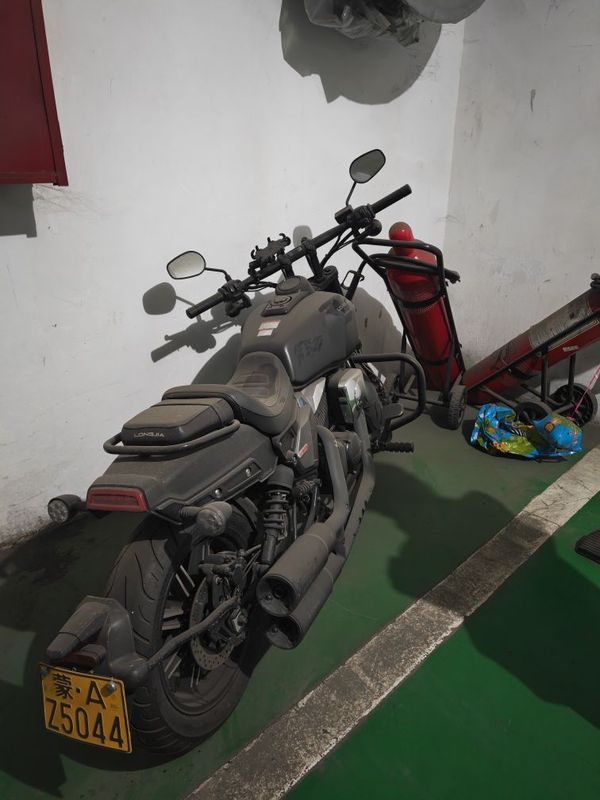 龙嘉 V霸250