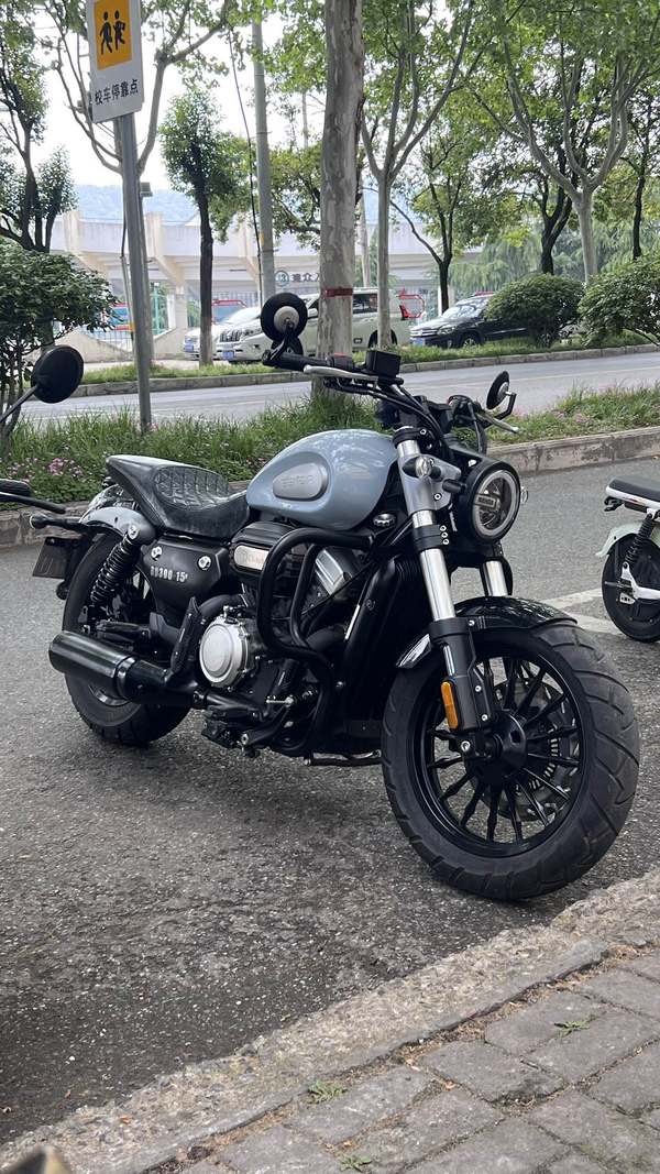 奔达 金吉拉300