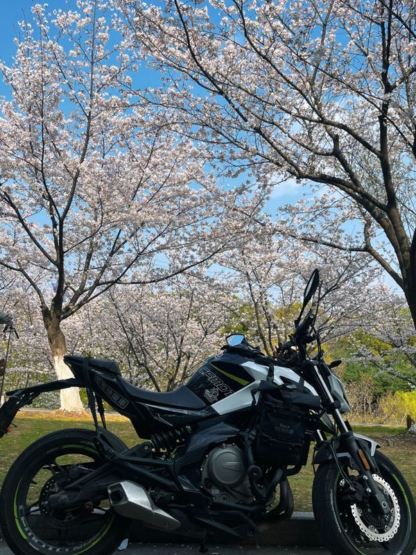 春风 650NK