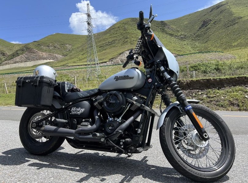 哈雷戴维森 街霸 Street Bob