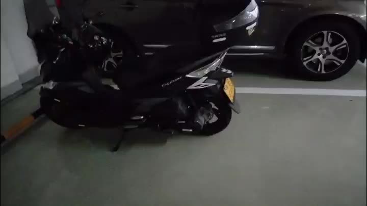 SYM三阳 巡弋 Cruisym 150