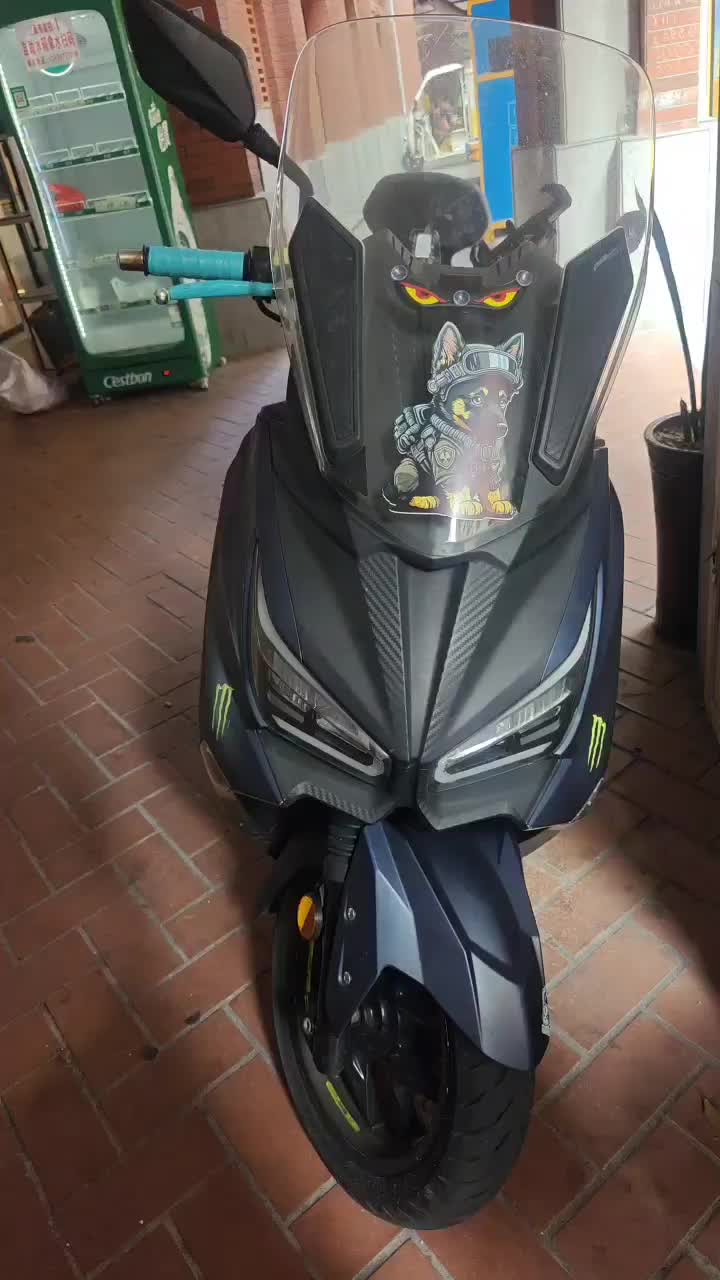 SYM三阳 JoymaxZ 300