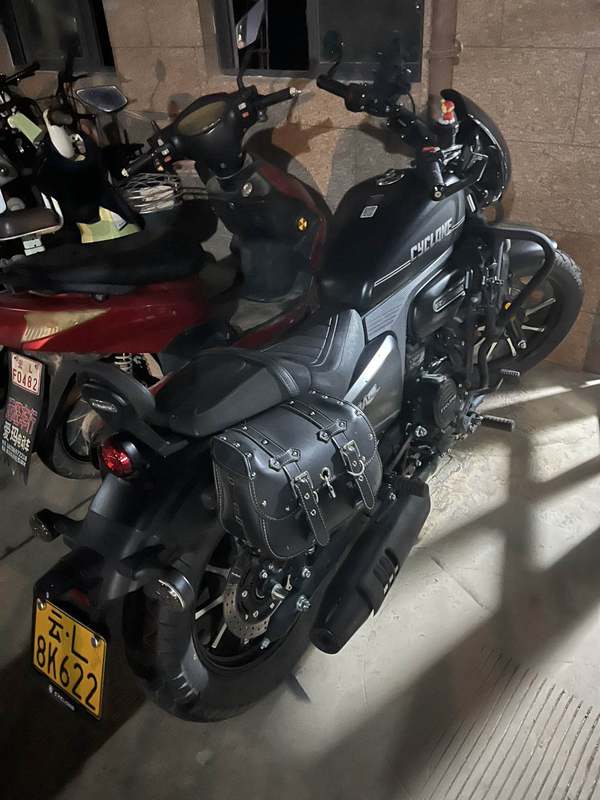 赛科龙 RA250