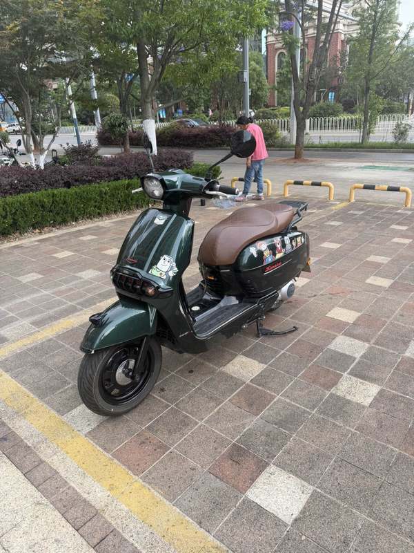 维多利亚 Sixties 300i
