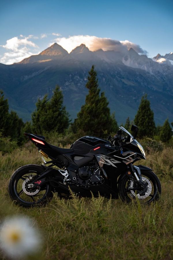 升仕 703RR