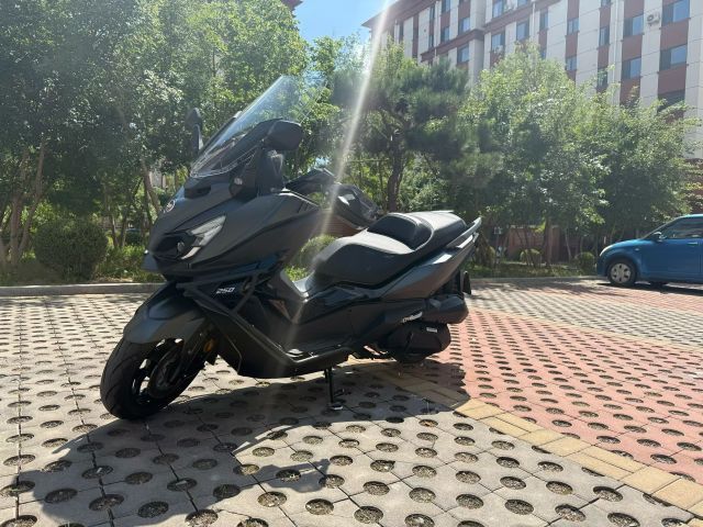 三阳 巡弋 Cruisym250