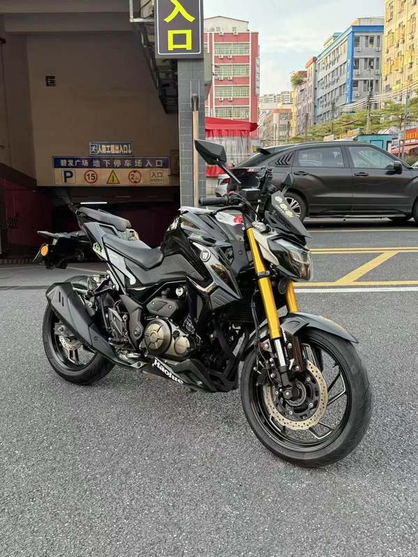豪爵 DR300