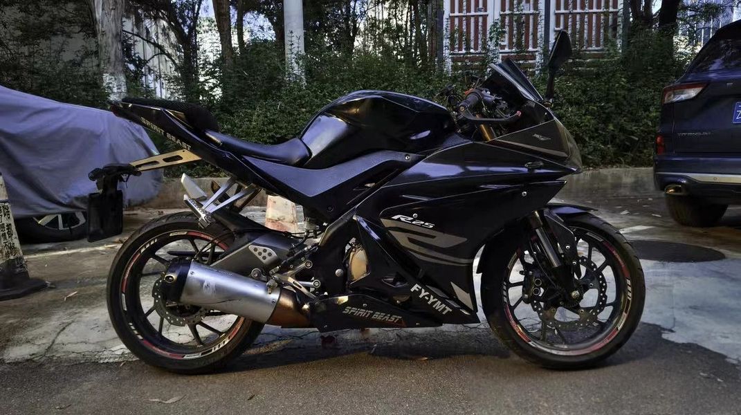 飞鹰 R25