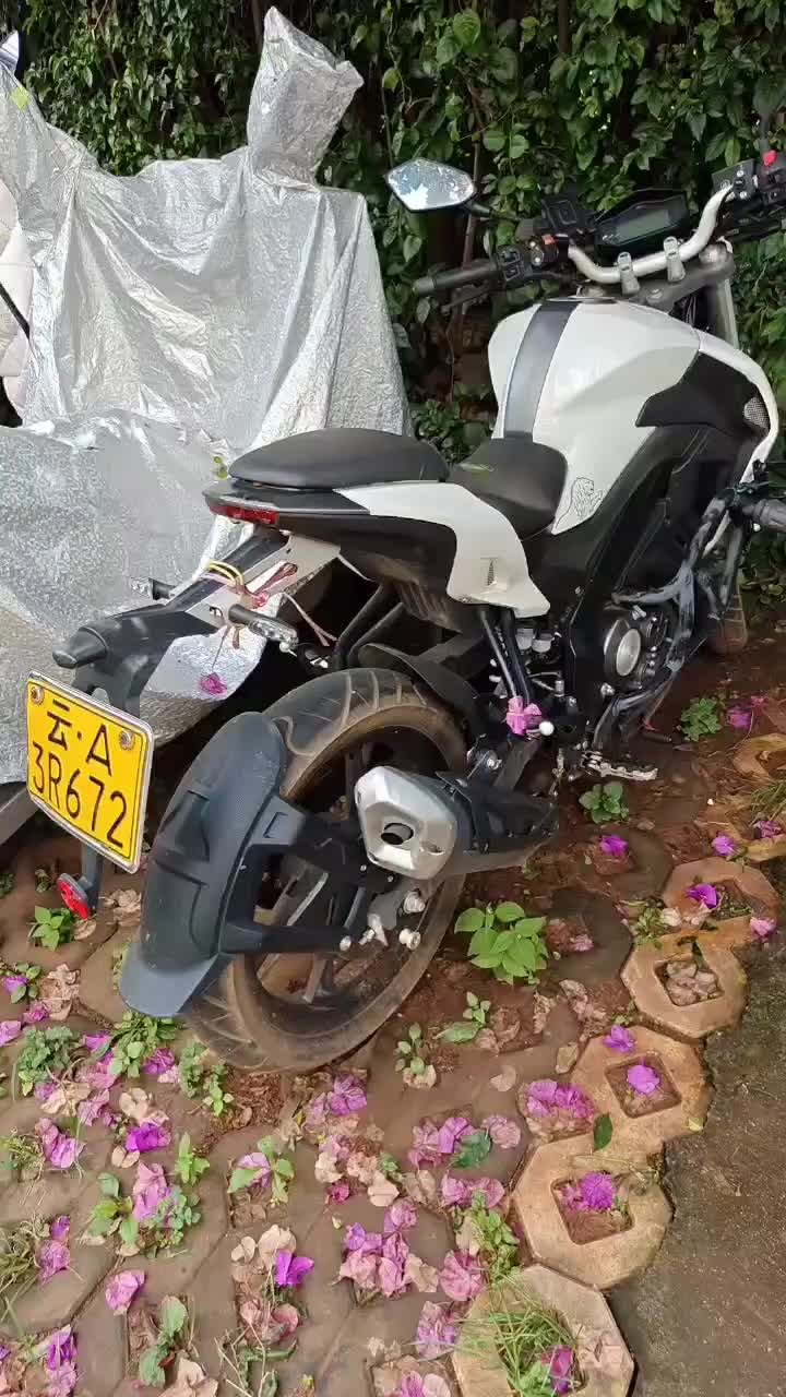 贝纳利 小迅龙 BN150S