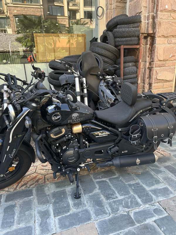 赛科龙 RA600