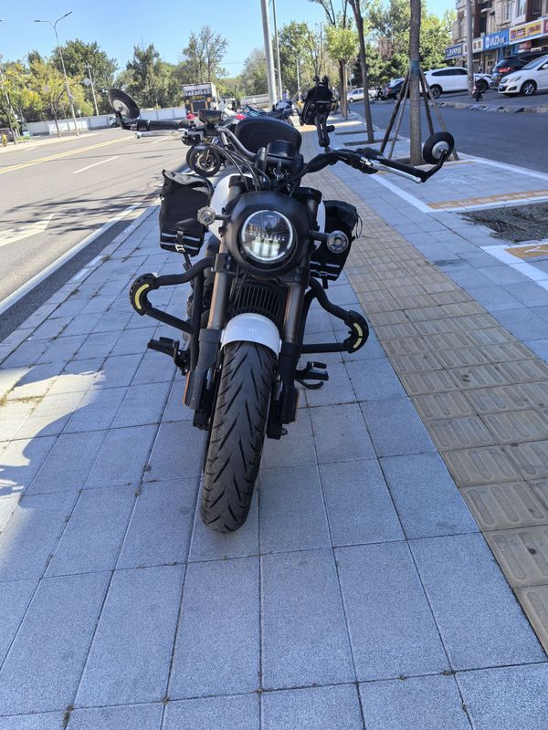 庄威 V400
