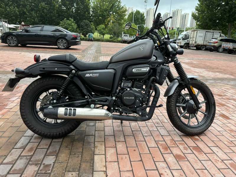 赛科龙 RA250