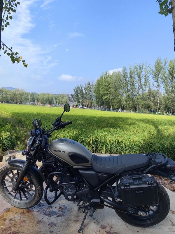 本田WING CL300