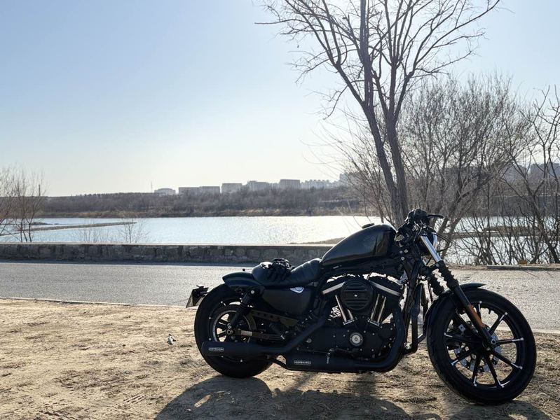 哈雷戴维森 Iron883 硬汉