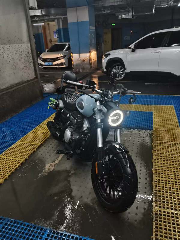 奔达 金吉拉300