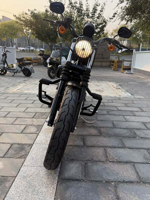 哈雷戴维森 Iron883 硬汉