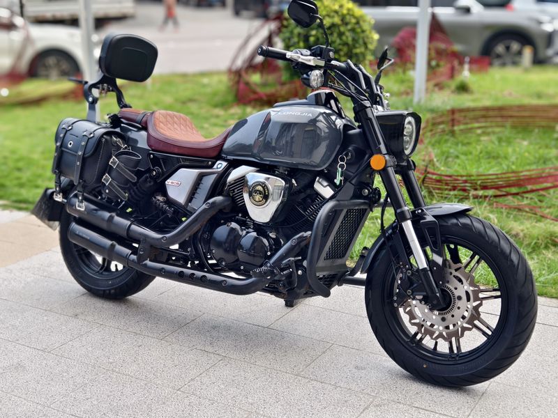 龙嘉 V霸250