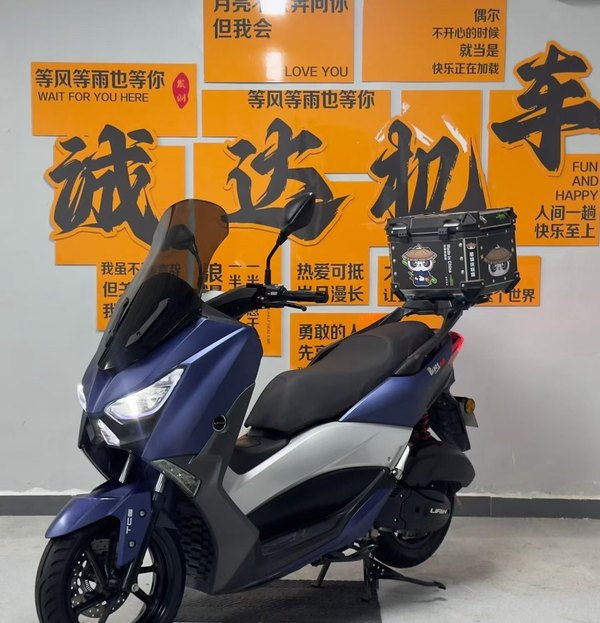 力帆 蓝鲟