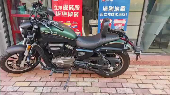 QJMOTOR 闪300S
