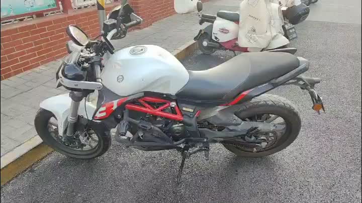 贝纳利 蓝宝龙 BN302S