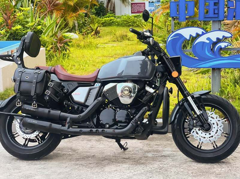 龙嘉 V霸250