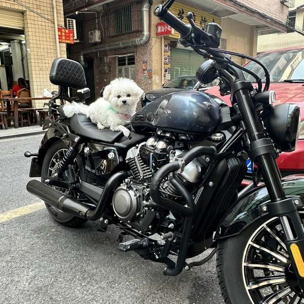 奔达 灰石250