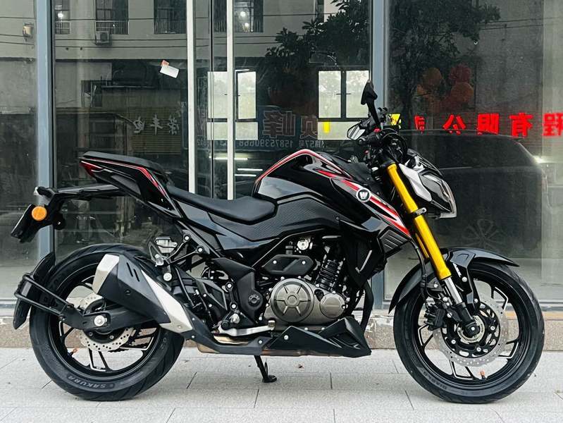 豪爵 DR300