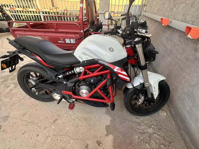 贝纳利 蓝宝龙 BN302S