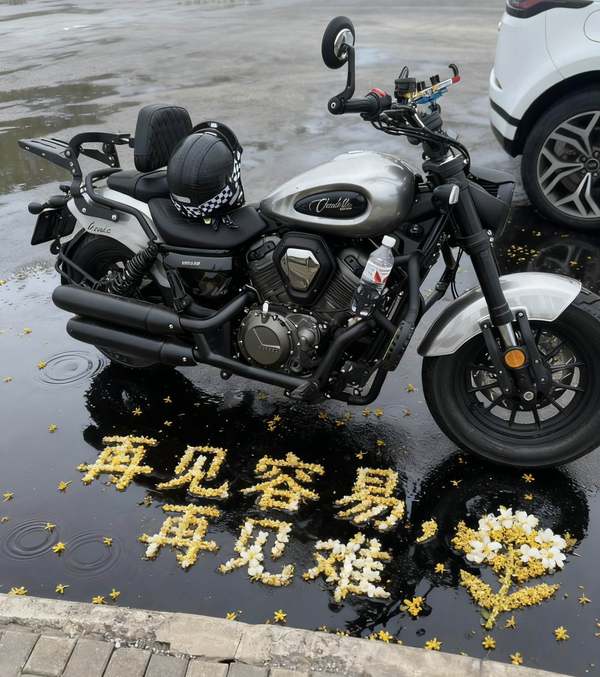 奔达 金吉拉500