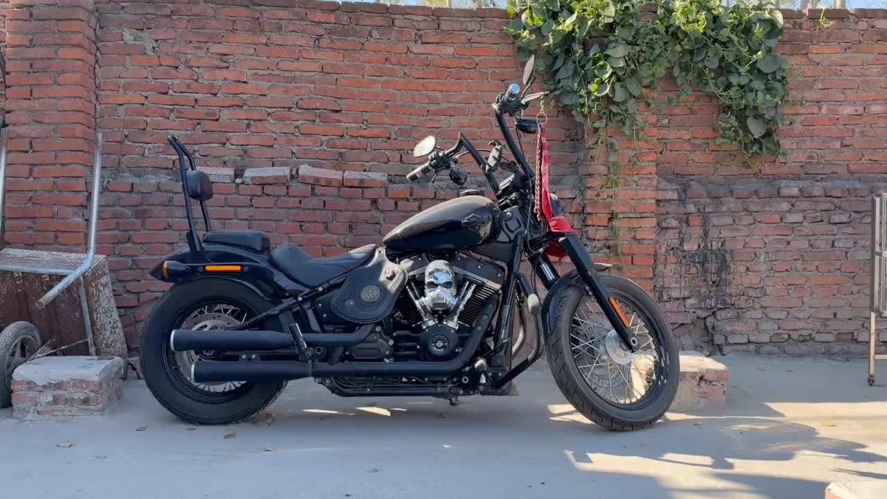 哈雷戴维森 街霸 Street Bob