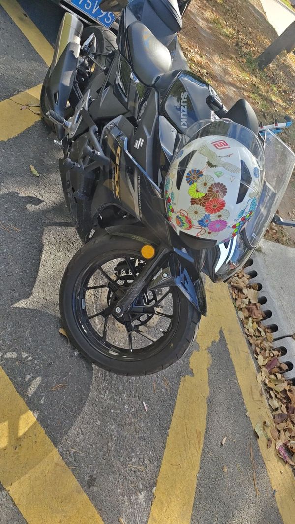 豪爵铃木 GSX250R