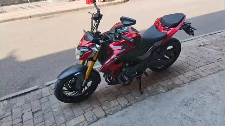 豪爵 DR250