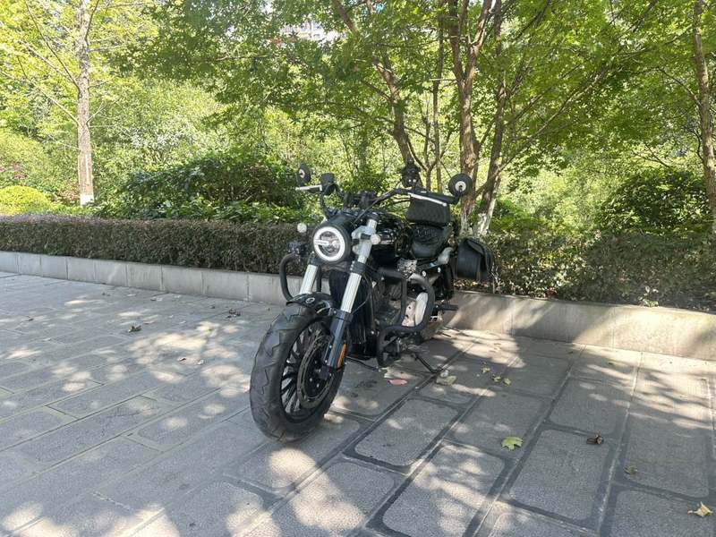 奔达 金吉拉300
