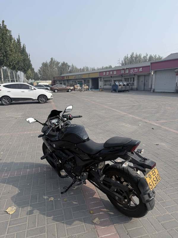 豪爵铃木 GSX250R