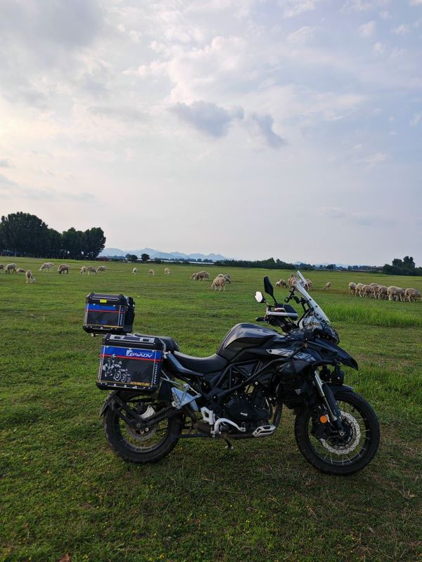 贝纳利 金鹏 TRK502