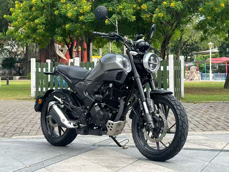 新大洲本田 CBF190TR