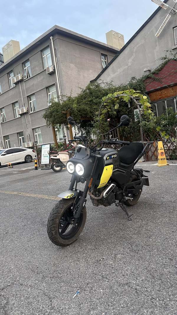 春风 XO狒狒